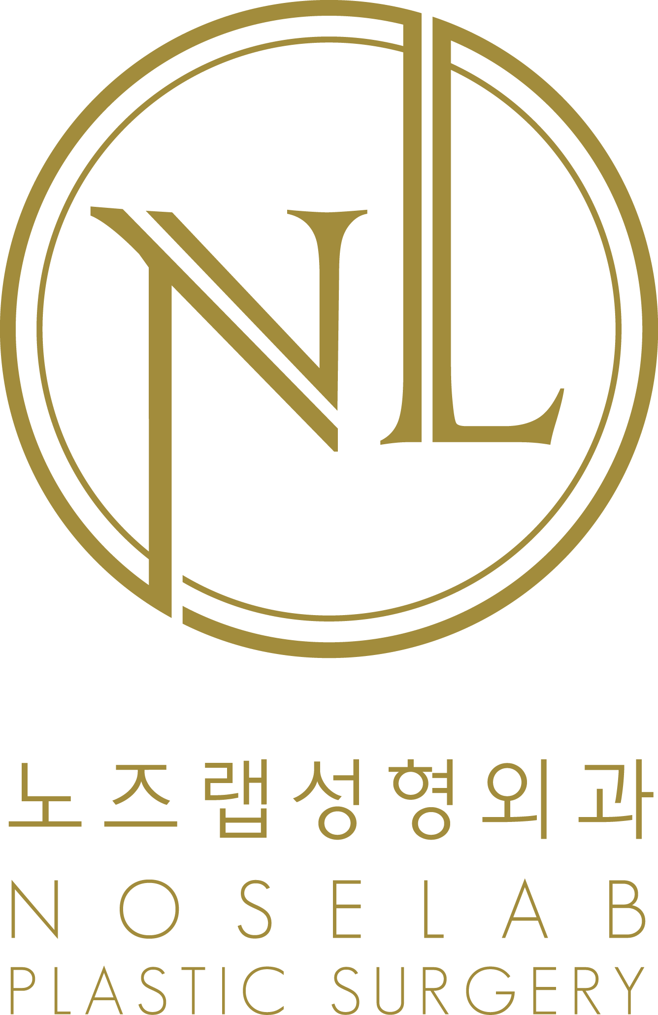 NOSELAB logo